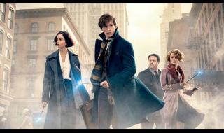 神奇动物去哪里