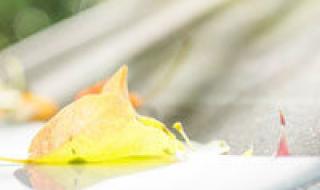 非主流女生闪图头像 非主流女生闪图头像