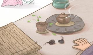 天庭饱满地阁方圆