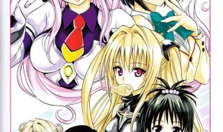 tolove漫画 tolove漫画