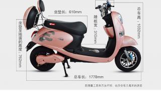 新日电动车价格表 新日电动车价格表